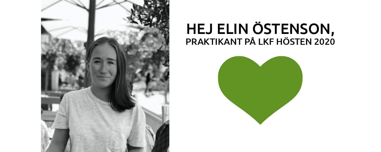 Hej Elin Östenson, praktikant på LKF hösten 2020