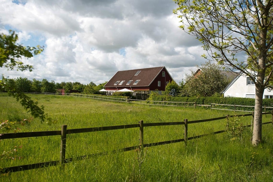 En hästhage framför fristående hus 