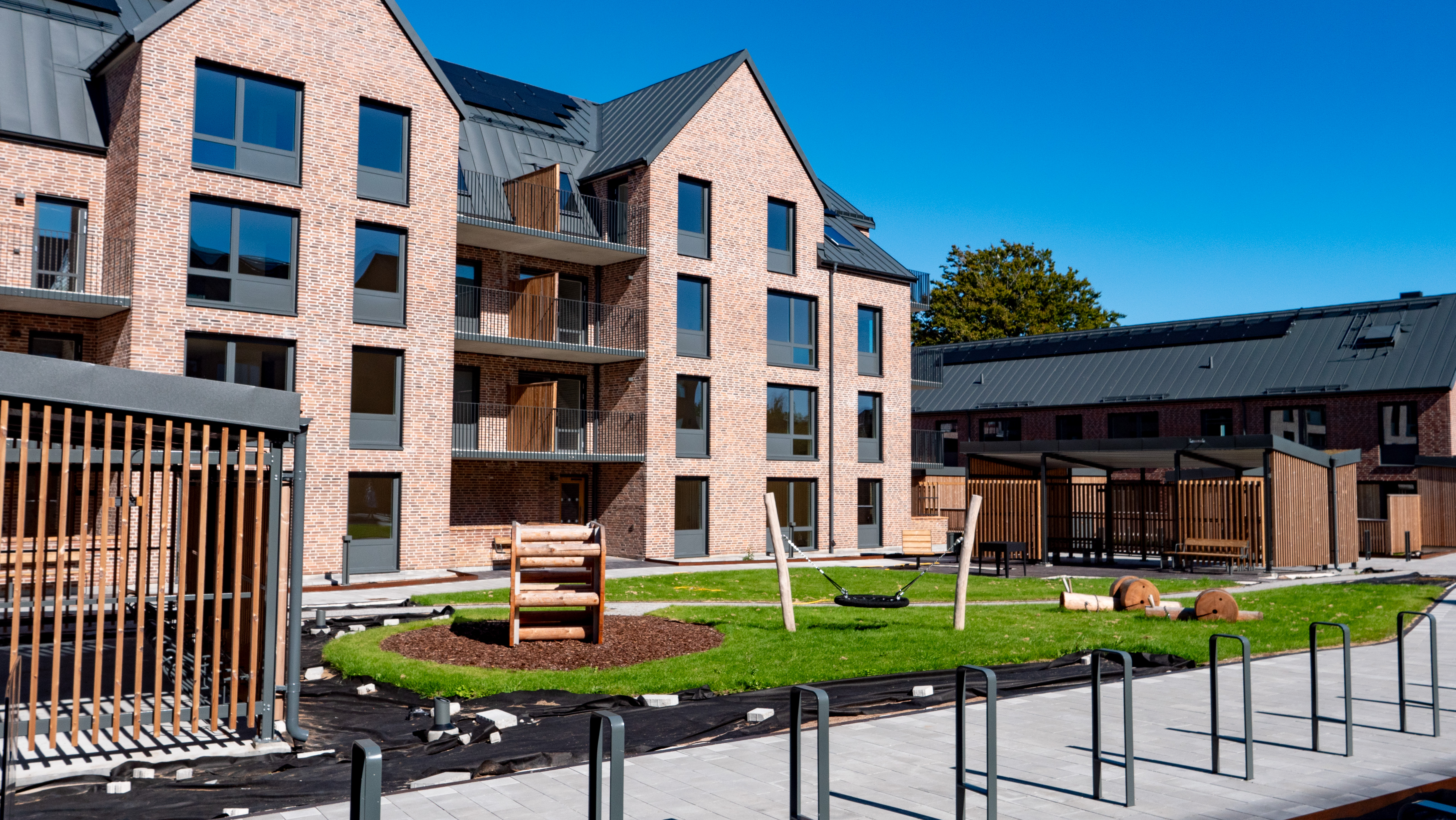 Kornknarren. Fotograf: Johan Alsén.