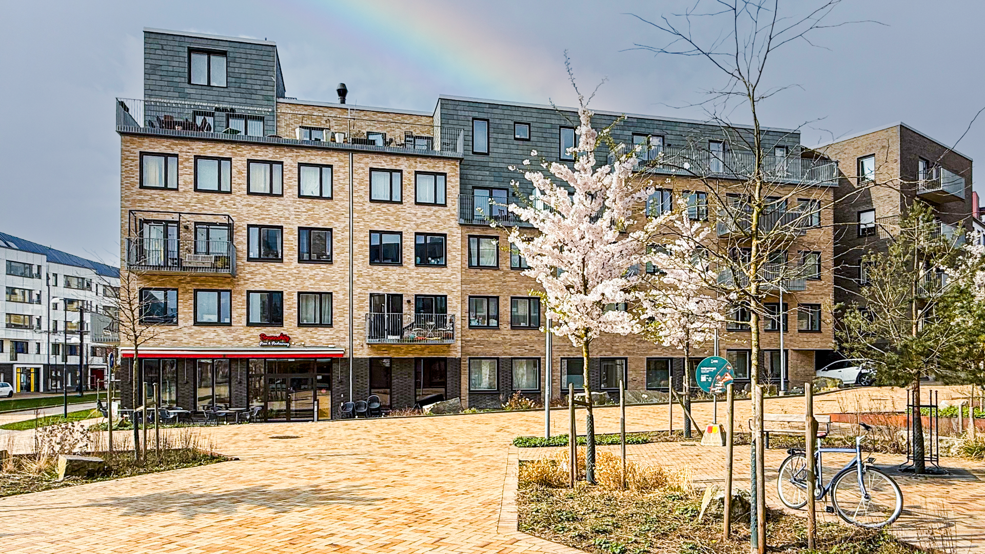 Bild på Xplorioan tagen från Brunnshögstorget. I förgrunden står en blommande magnolia och man ser 