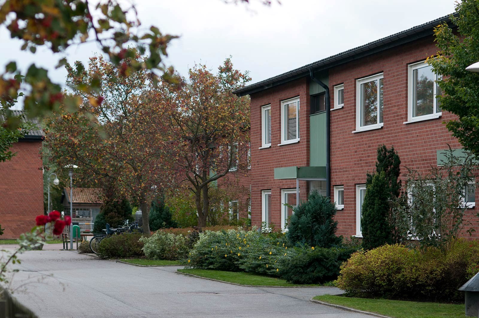En lugn och fridfull bostadsmiljö. Det finns röda tegelhus med gröna detaljer, omgivna av välskötta trädgårdar med blommande buskar och träd. En asfalterad väg leder in i detta bostadsområde, vilket ger en känsla av en inbjudande och hemtrevlig atmosfär.