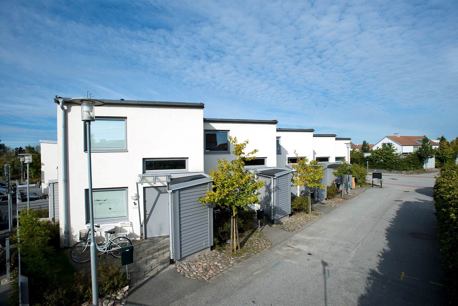 En rad moderna, vita hus med platta tak. Varje hus har stora fönster och gråa dörrar eller grindar. Husen är omgivna av en asfalterad väg och unga träd med gröna blad.