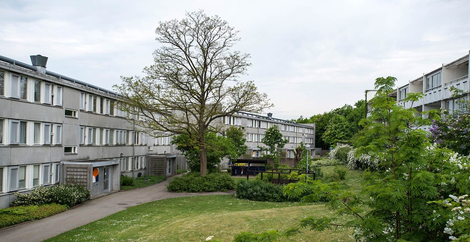 En grönskande innergård omringad av grå 3 våningshus.