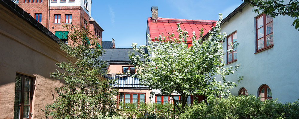 Gröna träd på vacker innergård i centrala Lund